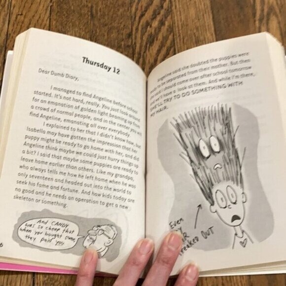 BUNDLE of 5 - Dear Dumb Diary​​​​​​ AB - Picture 13 of 13